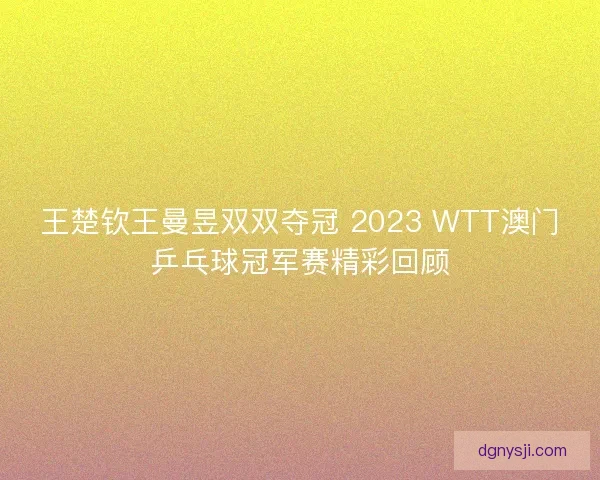 王楚钦王曼昱双双夺冠 2023 WTT澳门乒乓球冠军赛精彩回顾